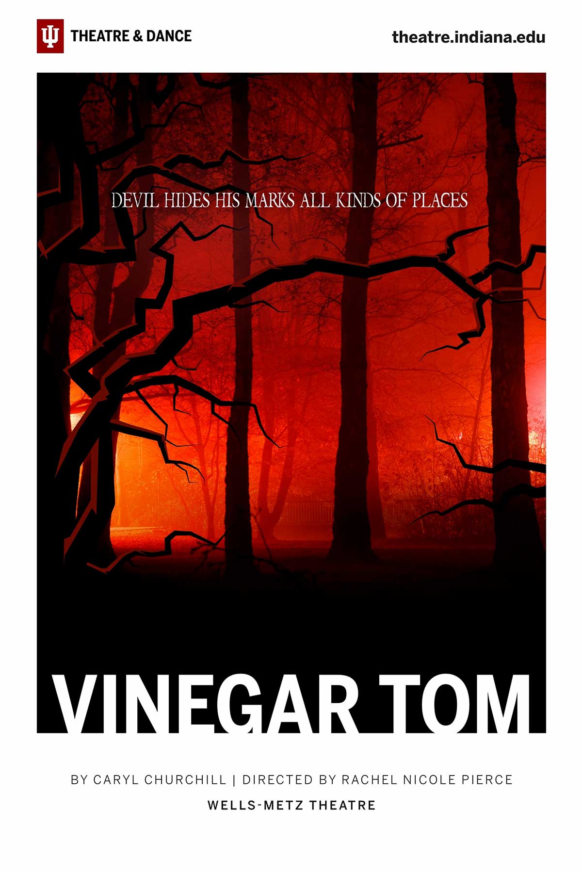Vinegar Tom Program