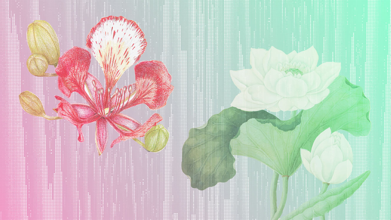 Two Interpretations of Sweetness